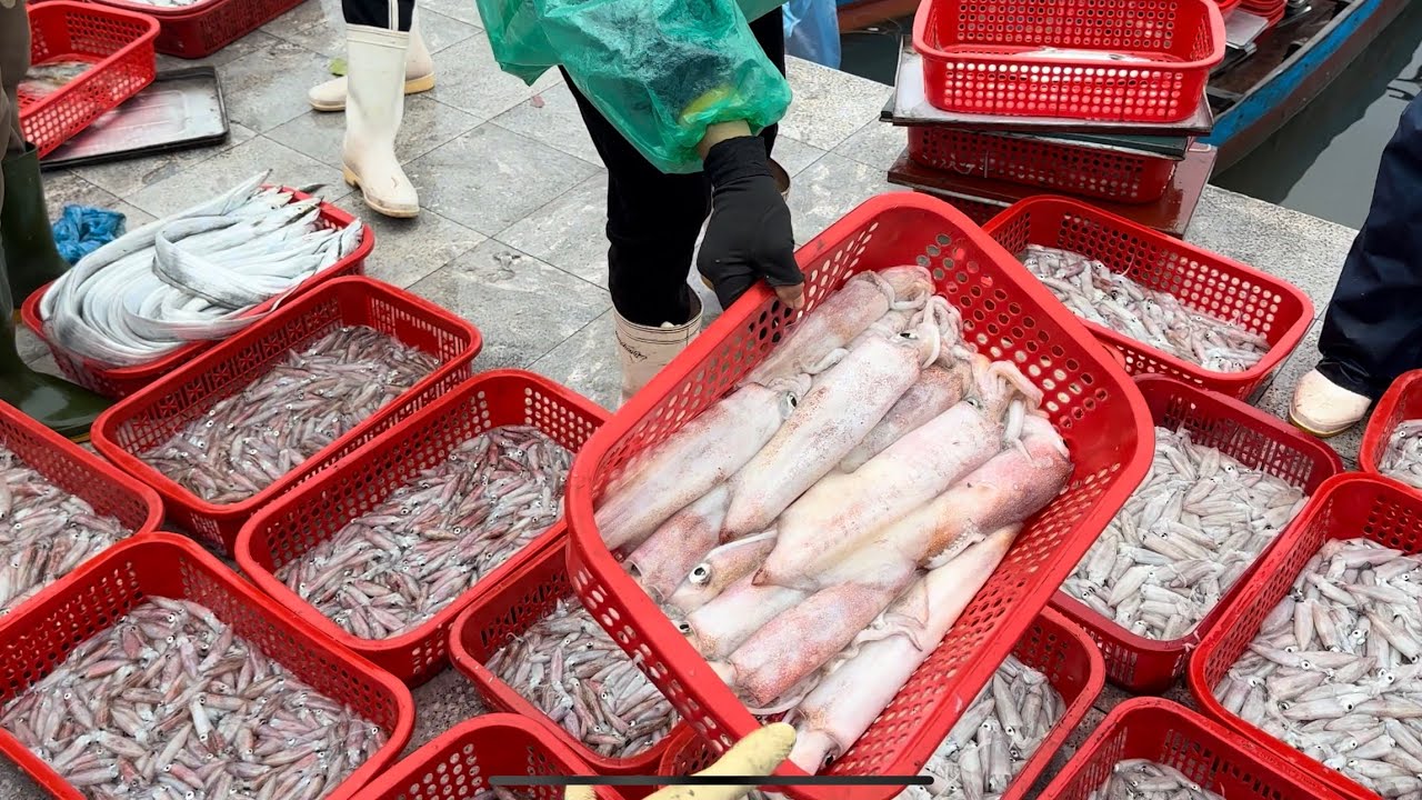 Khám phá Chợ Đồng Hới -Quảng Bình p1