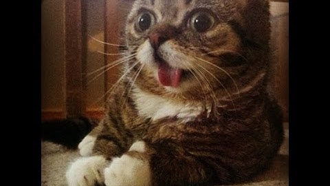 My first try on a chill edit! [MW2]