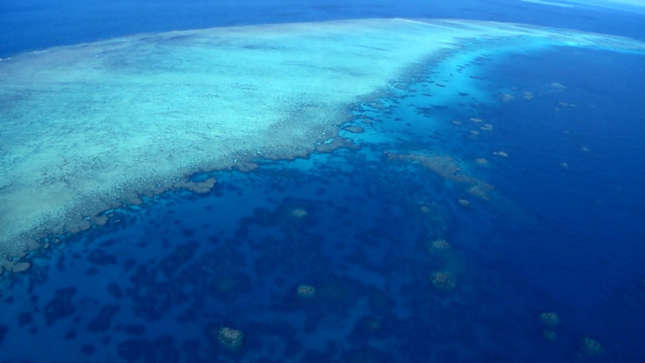 World Heritage The Great Barrier Reef 世界遺産 グレート バリア リーフ Youtube