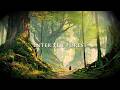 #medievalmusic Into the Silent Forest | The Journey Gets Deeper (Medieval Fantasy Music)