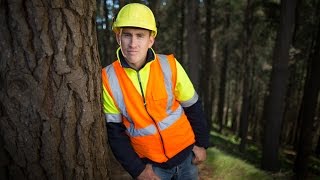 Safetree Injury Prevention For New Zealands Forestry Sector