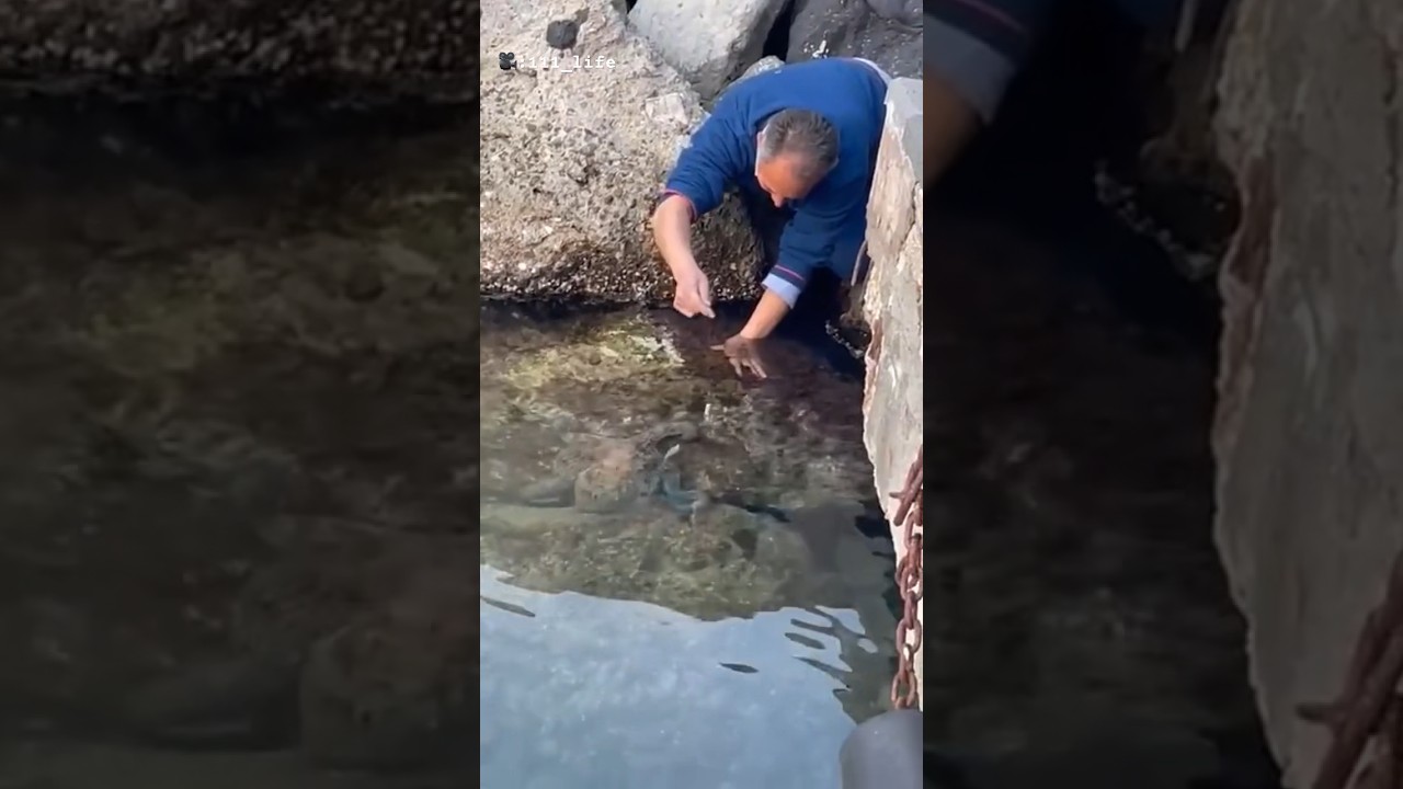 PEPPE PRENDI IL POLPO 🐙 