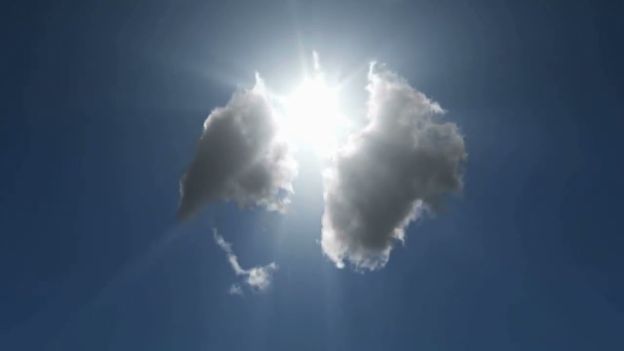 One of a Kind (Sunshine) | Folk & Flora | English Song