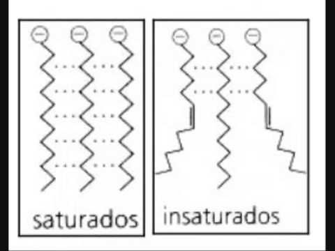 propiedades de los acidos grasos saturados e insaturados