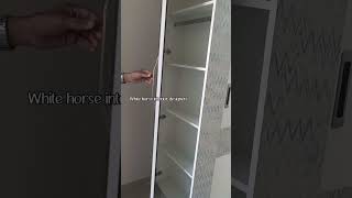 Vastu-Friendly Wardrobe Design with Hidden Mirror and Dressing Unit | Indian Home Decor Ideas
