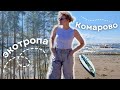 путешествия по Ленобласти | Экотропа «Комаровский берег»