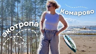 путешествия по Ленобласти | Экотропа «Комаровский берег»