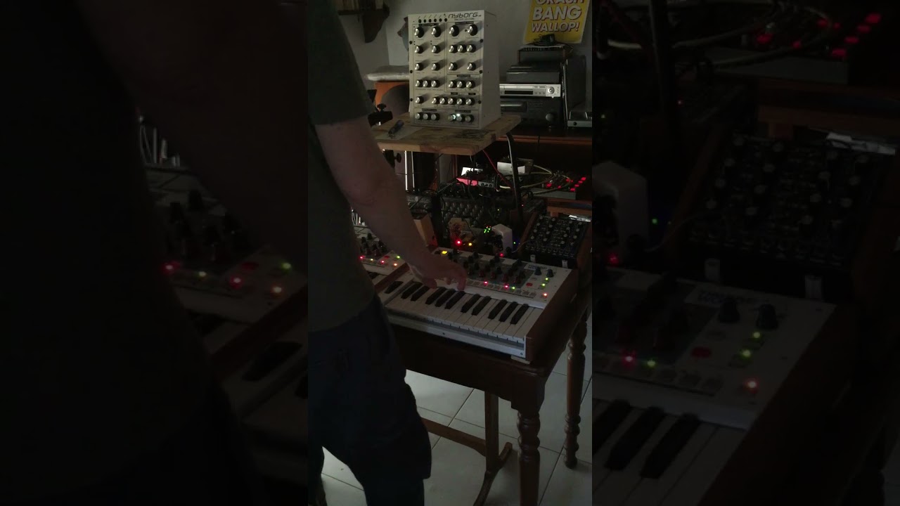 Dark Energy - Nyborg-12 - Dreadbox synth - TW Akai 