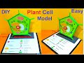 plant cell model making for school science fair project | diy science project | howtofunda