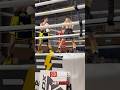 Josh Meli vs Garth Noot Fight Highlights #Boxing #MeliNoot #Neath #BlackFlashPromotions #RCB