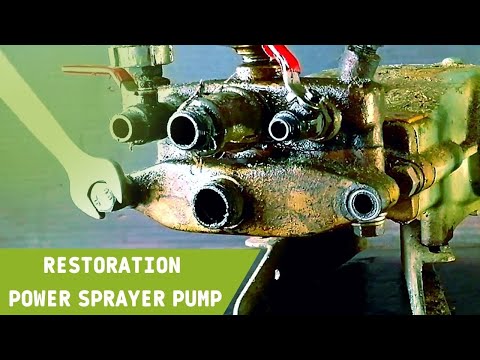 Spraying Service
