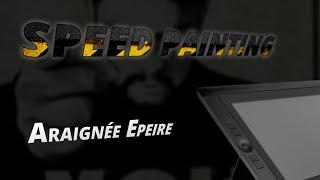 SPEED PAINTING - Araignée Epeire