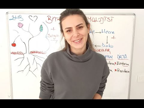 Video: Bitki sistematiği tanımı nedir?