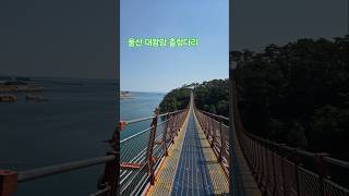 대왕암공원 출렁다리 영상