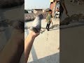 1 कबूतर पकड़ा 🔥🔥#pigeon #lover #shorts #viralreels #viralvideo #trending #ytshorts #happiness