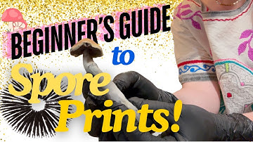 How to Make a Spore Print (+ Extra Tips for BEGINNERS)!