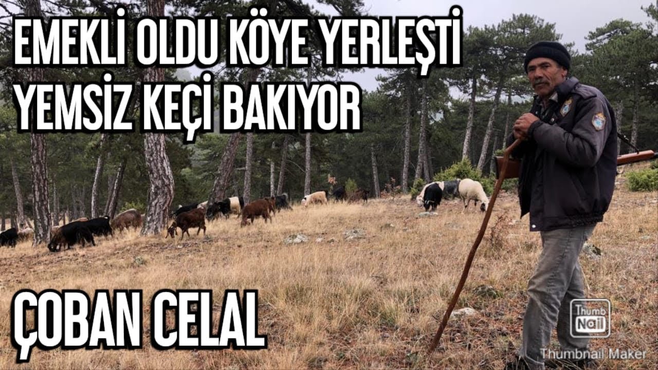 EMEKLİ OLDU KÖYE DÖNDÜ - KIŞIN YEMSİZ KEÇİ GÜDÜYOR - Çoban Celal