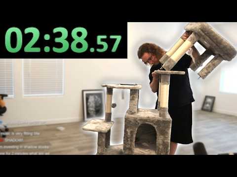 Cat Tree Speedrun