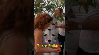 Un Viaggio Nel Mondo Dellorto Verticale