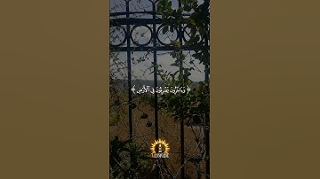 فاقرءوا ما تيسر من القرآن | سورة المزمل | القارئ شريف مصطفى