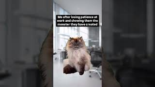 It’s on you 😹 #cats #memes #funny #patience #shorts #work #job #jobs #coworkers #explore #music