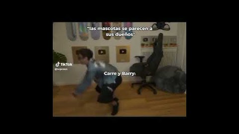 "las mascotas se parecen a sus dueños" carre y barry:   #hola #carrera  #viral #carre #humor #barry