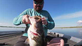 Lake Okeechobee March 2024 froggin' at sunrise