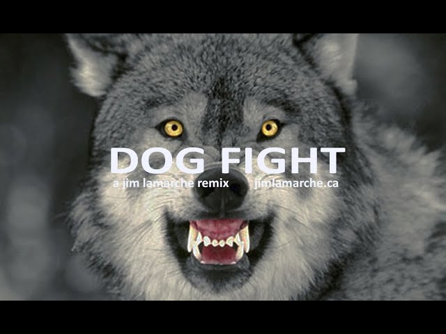jim lamarche (w/amadeusz malkowski feat. kyrah aylin) - dog fight class=