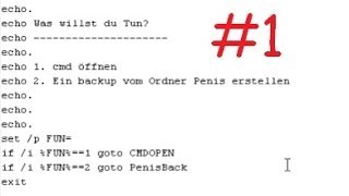 Startoberfläche und goto #Batch Tutorial (Schweizerdeutsch)