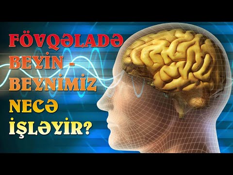 Video: 12 yaşında beyin necə inkişaf edir?