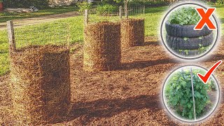 Growing Potatoes in Towers  Small Space Potato Planters