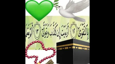 13 سوره العلق الايه