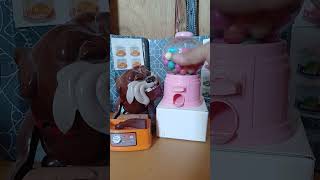 Pink Gumball machine with mad dog  hungry #shorts
