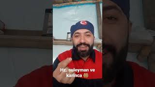 Hz. Syleyman Ve Karinca