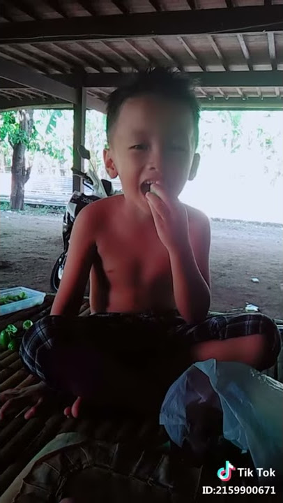 Makan belimbing kecil Video lucu