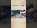 【モーラナイフと焚き火】#shorts #焚き火#ナイフ
