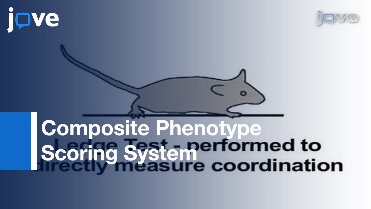 語学・辞書・学習参考書 Morphological Mouse Phenotyping 語学・辞書・学習参考書 Morphological Mouse Phenotyping