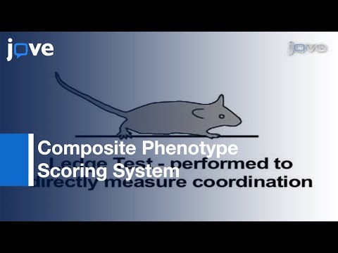 Simple Composite Phenotype Scoring System: Mouse Models