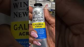 When should you use expensive paint? #artshorts