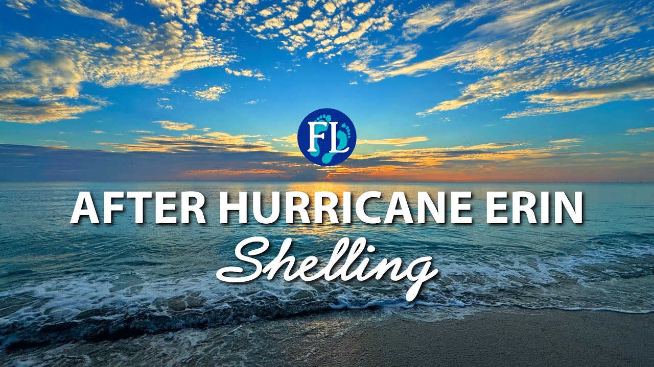 Finding shells a few days late to the shell party! Hurricane Erin Piles 🐚