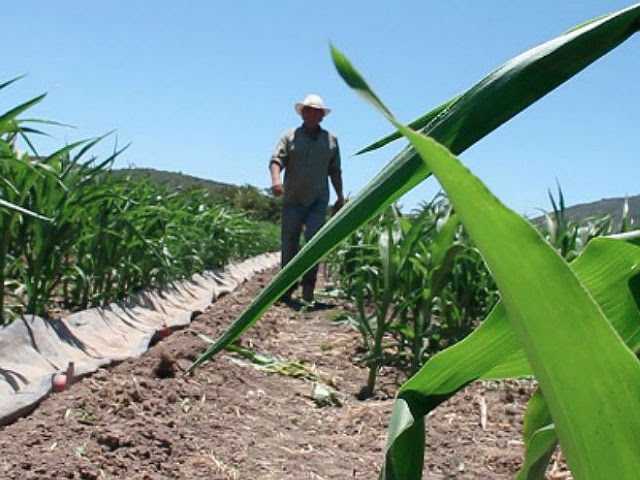 Funcionamiento de una Planta Potabilizadora de Agua - TvAgro por Juan  Gonzalo Angel 