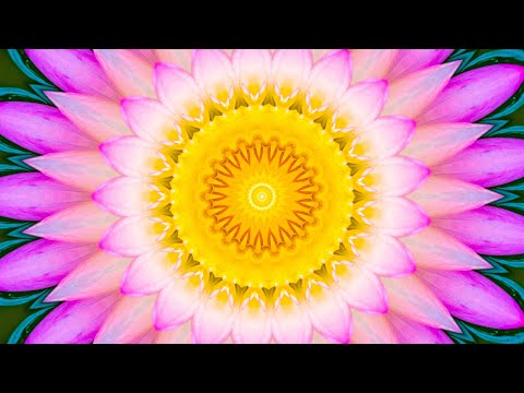 Splendor of Flowers Kaleidoscope Video Beta v3 with TITLES and VALUES - A Worldwide Banking Jubilee