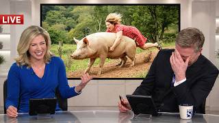 News Anchors Couldn't Stop Laughing on Live TV