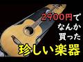 変な楽器入手した