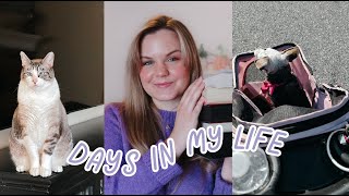 DAYS IN MY LIFE | starting a small business fails, new equipment & cute animals of course! by Madison Strong 177 views 2 months ago 14 minutes, 25 seconds