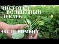 ЧИСТОТЕЛ - Удачный эксперемент над собой!