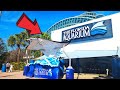 The florida aquarium tampa ultimate full tour 2024