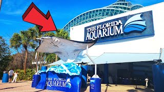 The Florida Aquarium Tampa Ultimate Full Tour 2024
