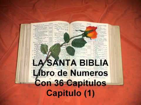 LA SANTA BIBLIA. Libro de Numeros, con 36 capitulos