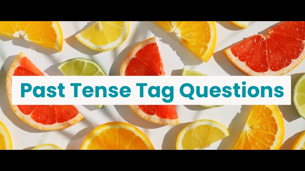 Tag Questions, Past Tense (Unit 19, Level B2)